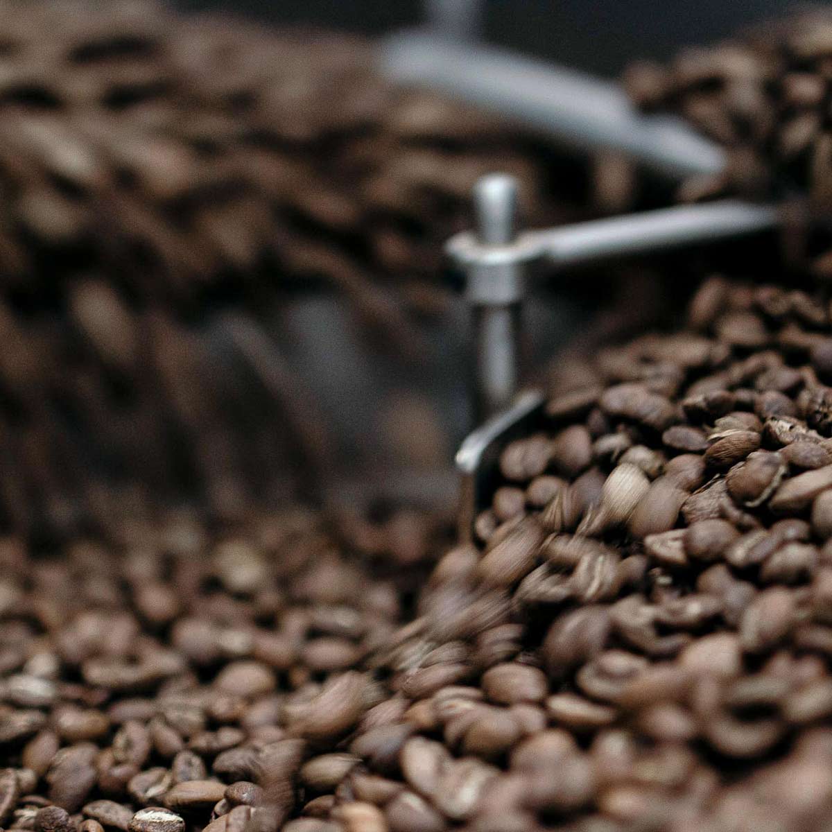 We source coffee from all over the world from farmers we know and trust